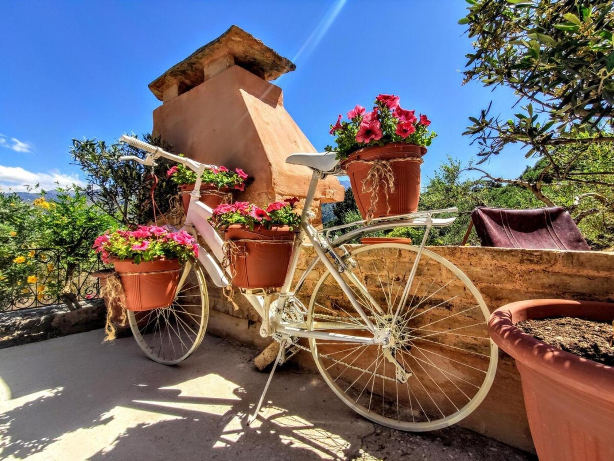 Thymes Traditional House Loulos Екстериор снимка